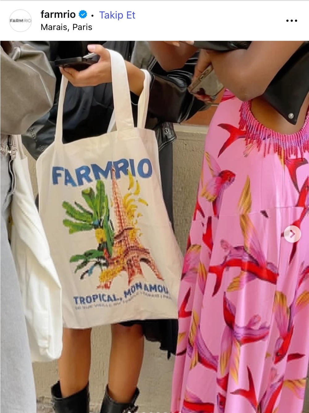 Farm Rio Tote Bag - Picture 9 of 15